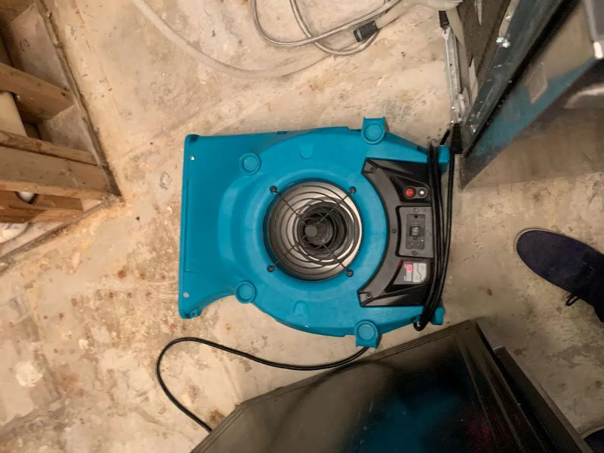 Air mover drying equipment for Mold Remediation & Removal in Highlands Ranch