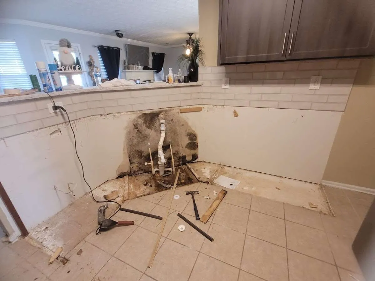 Mold behind wall with plumbing during Flood Damage Cleanup in Highlands Ranch